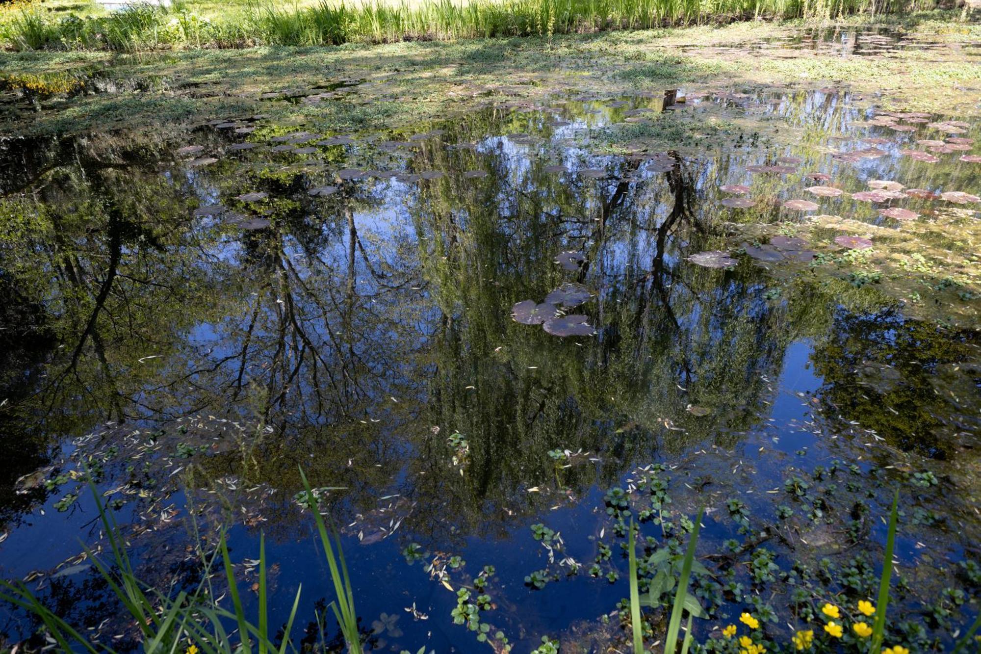 Il Casale Di Villa Rossi Lucca Bagian luar foto